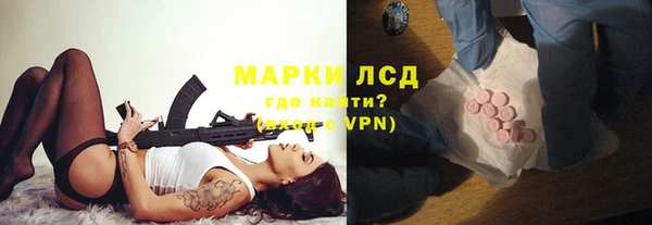 прущие грибы Алексеевка