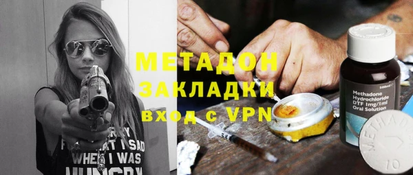 прущие грибы Алексеевка
