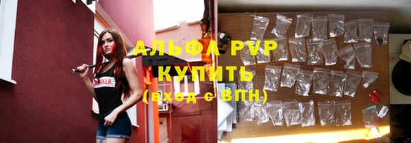 прущие грибы Алексеевка