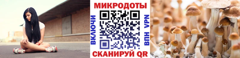 где можно купить   Шелехов  Галлюциногенные грибы Psilocybe 